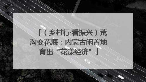 （乡村行·看振兴）荒沟变花海：内蒙古闲置地育出“花漾经济”