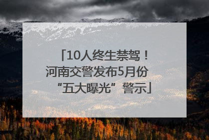 10人终生禁驾！河南交警发布5月份“五大曝光”警示
