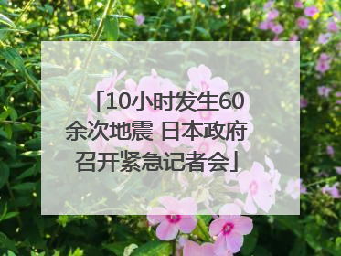 10小时发生60余次地震 日本政府召开紧急记者会