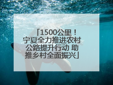 1500公里！宁夏全力推进农村公路提升行动 助推乡村全面振兴