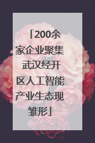 200余家企业聚集 武汉经开区人工智能产业生态现雏形