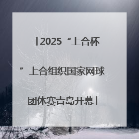 2025“上合杯”上合组织国家网球团体赛青岛开幕