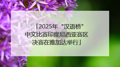 2025年“汉语桥”中文比赛印度尼西亚赛区决赛在雅加达举行