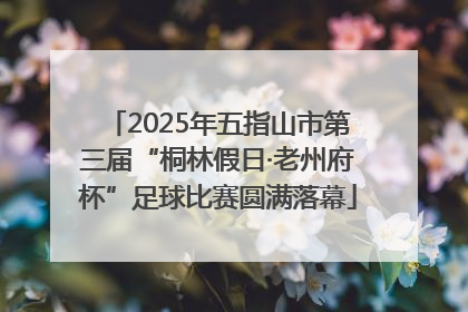 2025年五指山市第三届“桐林假日·老州府杯”足球比赛圆满落幕