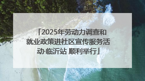2025年劳动力调查和就业政策进社区宣传服务活动·临沂站 顺利举行