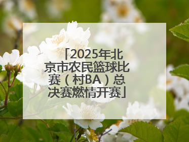 2025年北京市农民篮球比赛（村BA）总决赛燃情开赛