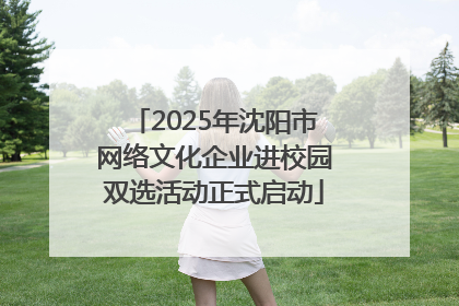 2025年沈阳市网络文化企业进校园双选活动正式启动