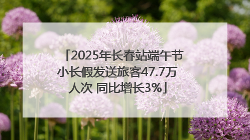2025年长春站端午节小长假发送旅客47.7万人次 同比增长3%