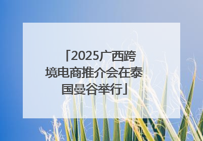 2025广西跨境电商推介会在泰国曼谷举行