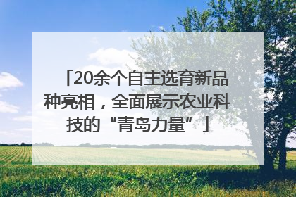20余个自主选育新品种亮相，全面展示农业科技的“青岛力量”