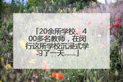 20余所学校、400多名教师，在闵行这所学校沉浸式学习了一天……