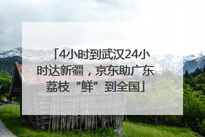4小时到武汉24小时达新疆，京东助广东荔枝“鲜”到全国
