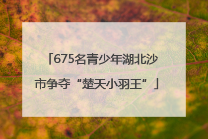 675名青少年湖北沙市争夺“楚天小羽王”