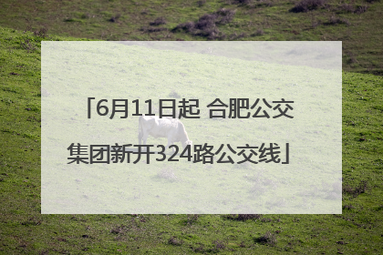 6月11日起 合肥公交集团新开324路公交线