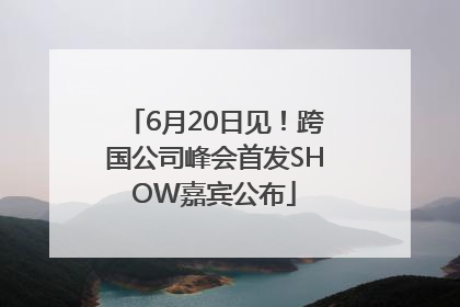 6月20日见！跨国公司峰会首发SHOW嘉宾公布
