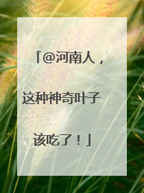 @河南人，这种神奇叶子该吃了！
