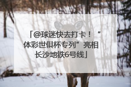 @球迷快去打卡！“体彩世俱杯专列”亮相长沙地铁6号线
