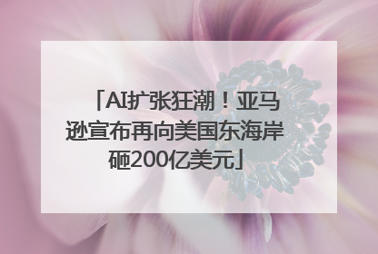 AI扩张狂潮！亚马逊宣布再向美国东海岸砸200亿美元