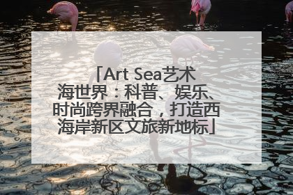Art Sea艺术海世界：科普、娱乐、时尚跨界融合，打造西海岸新区文旅新地标