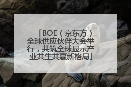 BOE（京东方）全球供应伙伴大会举行，共筑全球显示产业共生共赢新格局