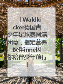 Waldkicker德国青少年足球赛圆满闭幕，指定营养伙伴inne因你陪伴少年前行